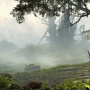 medieval-fantasy-digital-painting-of-a-decayed-cabin-engulfed-by-wilderness-weathered-wooden-planks.png